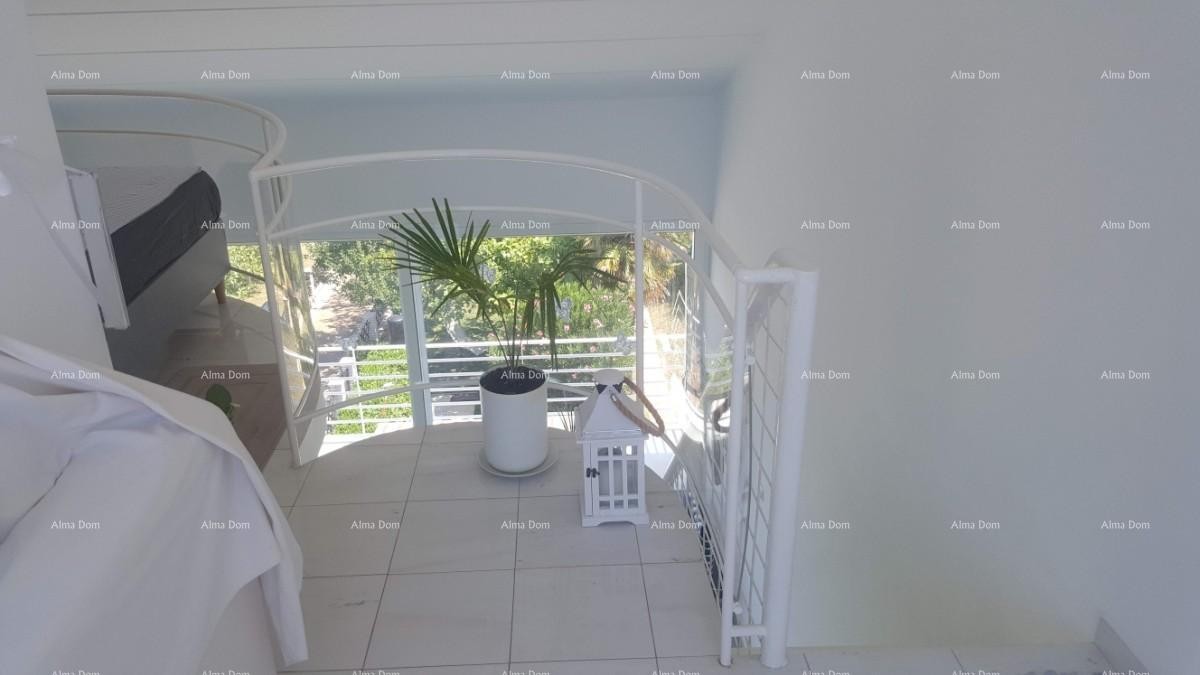 Apartment Novigrad 8