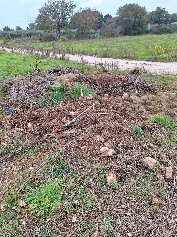 Građevinsko zemljište Vintijan – 800 m2 – uz cestu 3