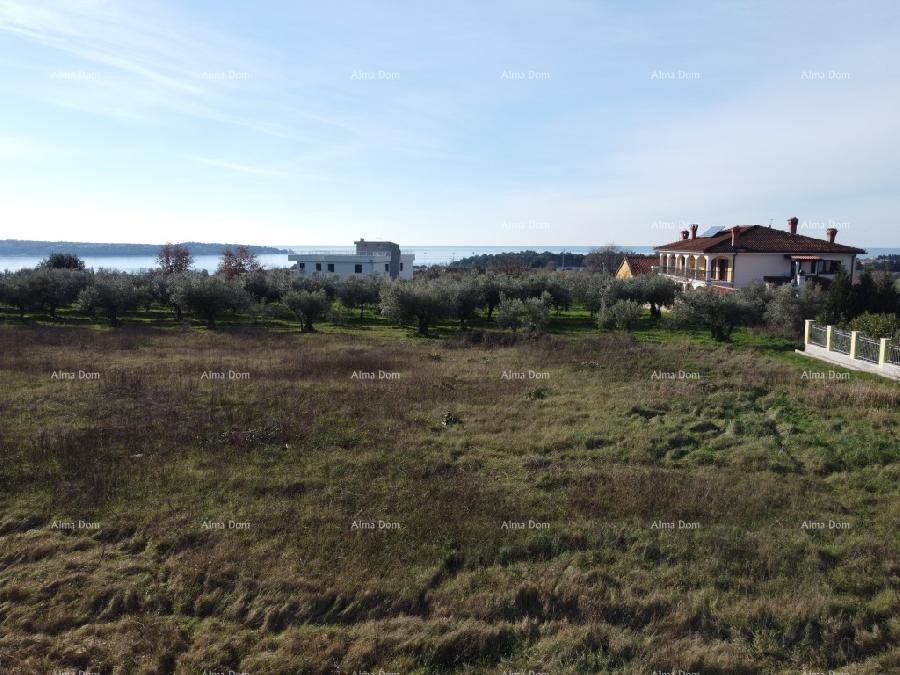 Apartma s strešno teraso - Residence Novi Home Novigrad 11