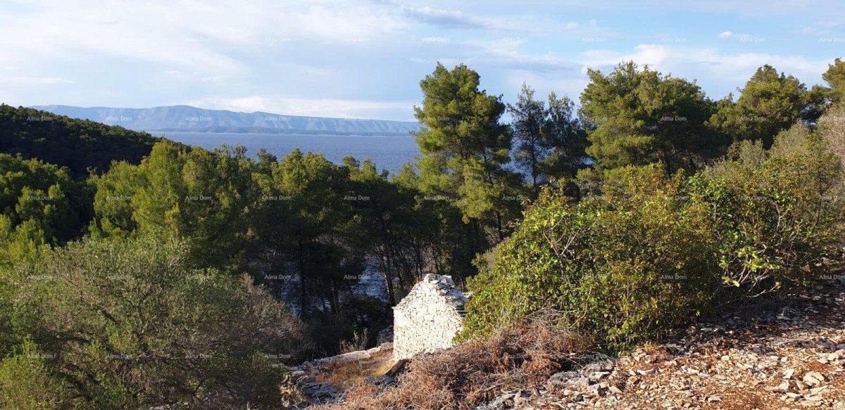 Sale of construction land, Korčula 4