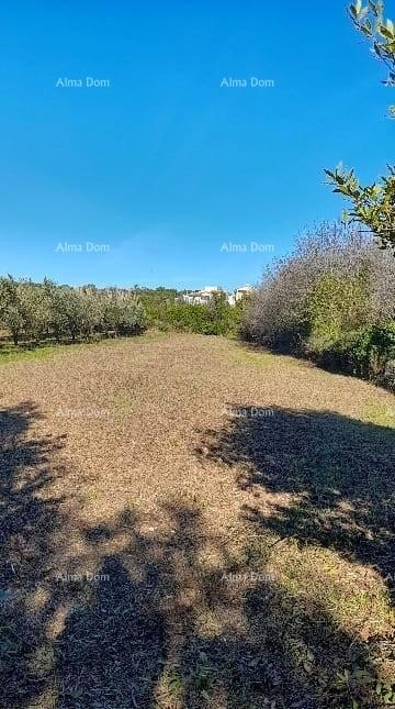 Premantura – construction land 1,793 m² 1