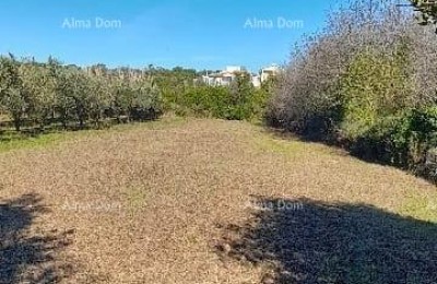 Premantura – construction land 1,793 m²
