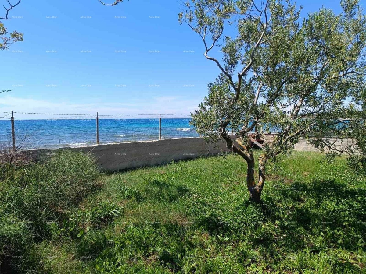 PEROJ – TERRENO AGRICOLO 2.715 m² VICINO AL MARE 3