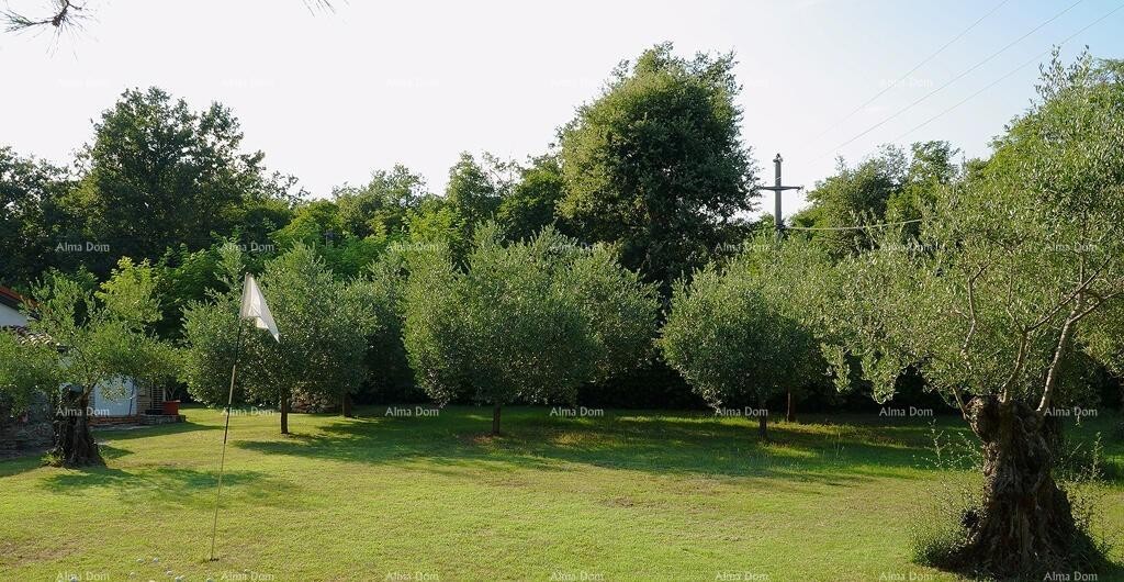 УМАГ, Дом, 144 м², с большим садом и летней кухней, полностью отремонтирован! 18