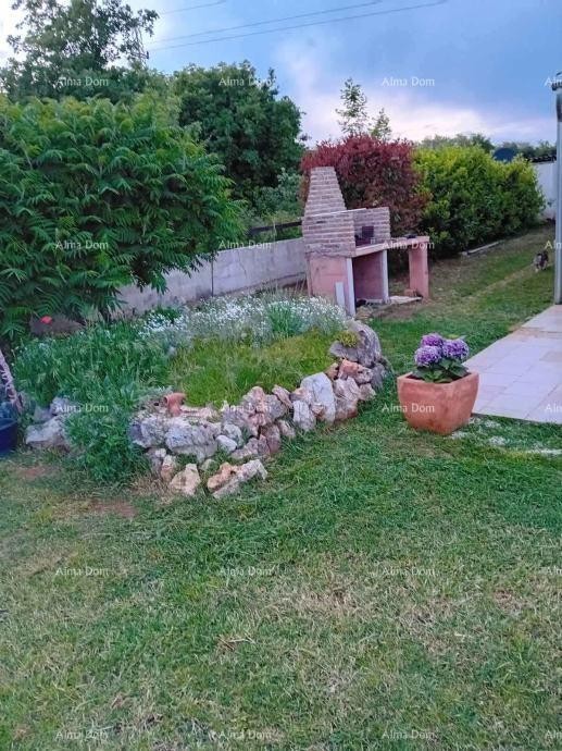 Марчана – Дом с оливковым садом 9