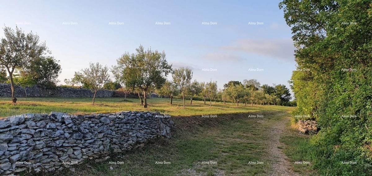Marčana, Filipana – Gradbeni Parcela 4