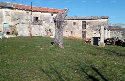 Pazin, Istria - due vecchie case in pietra con ampio terreno