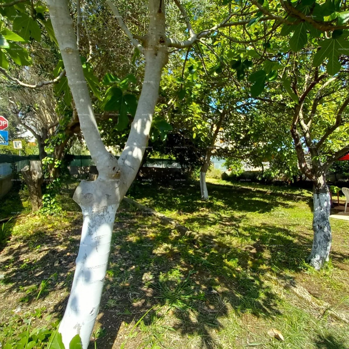 Pula! Prizemnica z velikim vrtom in teraso. 19