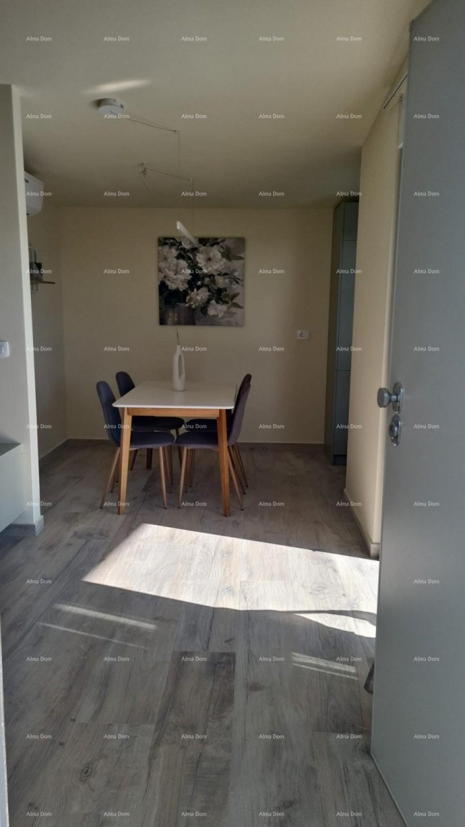 Modern apartment with parking space and storage in block F, near Umag! 9