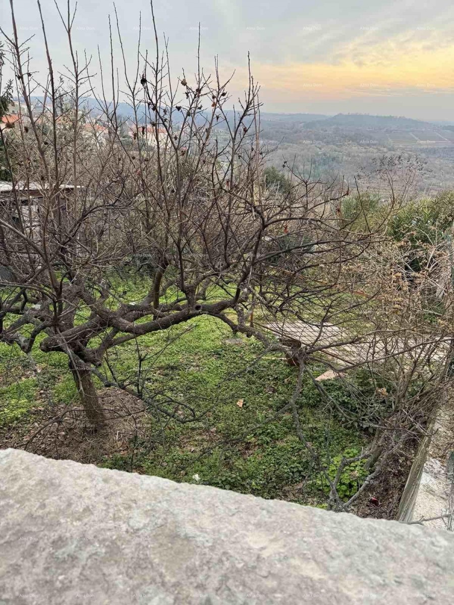 A house with a yard near the center, Buje! 26