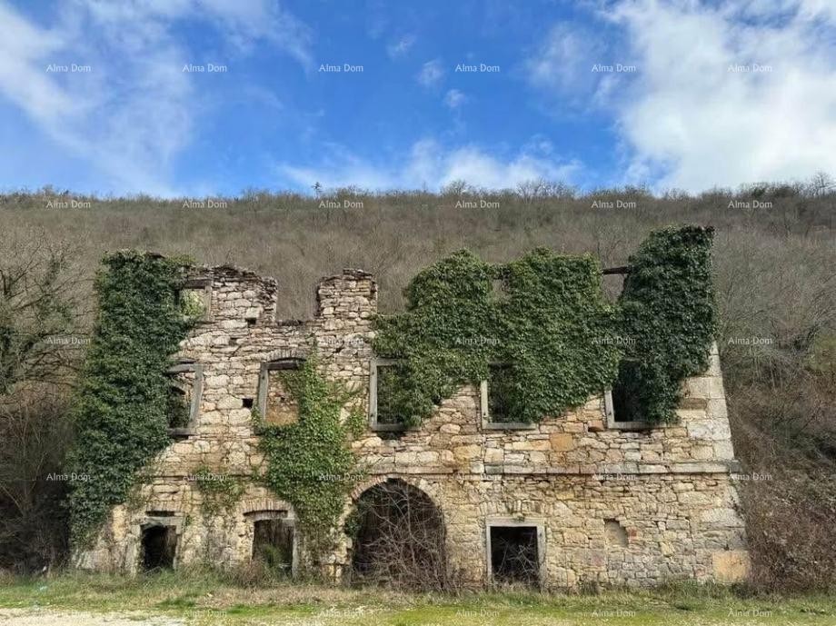 Kamena starina z velikim zemljiščem – Buzet 3