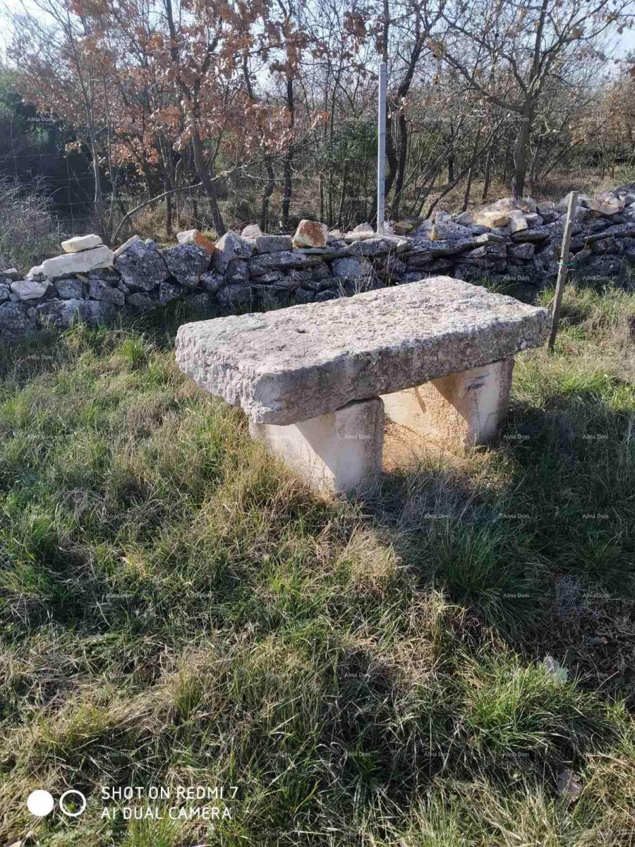 Дом Svetvinčenat 8