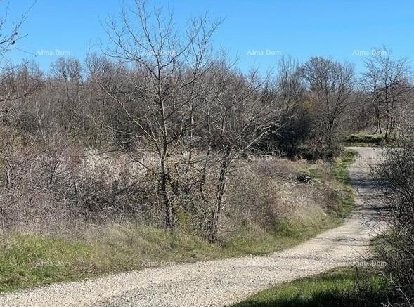 Продажа - земельный участок под строительство с разрешением, строительство может начаться немедленно! Канфанар! 8