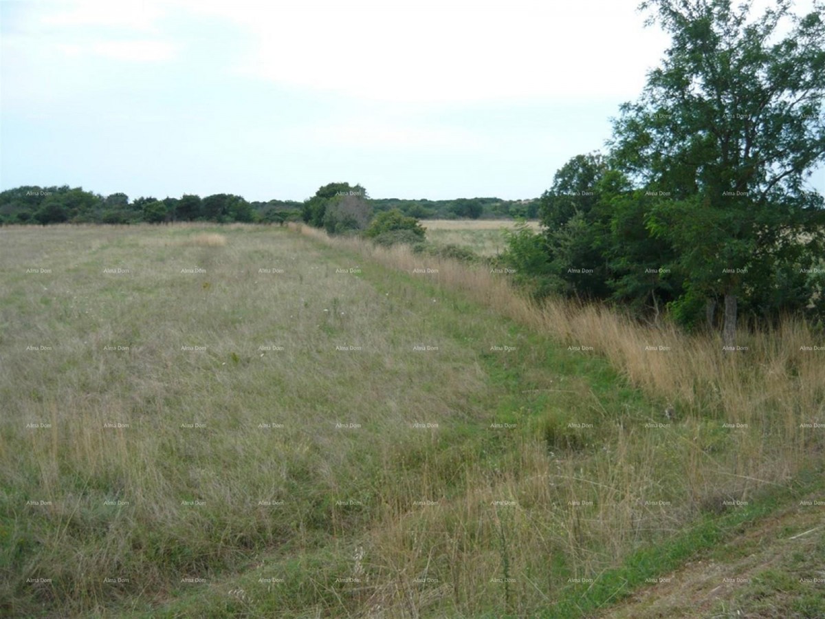 Jadreški, Vendesi terreno agricolo di 21.870 m² 1