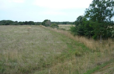 Jadreški, Vendesi terreno agricolo di 21.870 m²