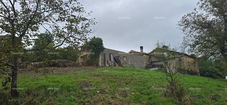 Veliko imanje s hišo in gradbenim zemljiščem, okolica Buzeta 1
