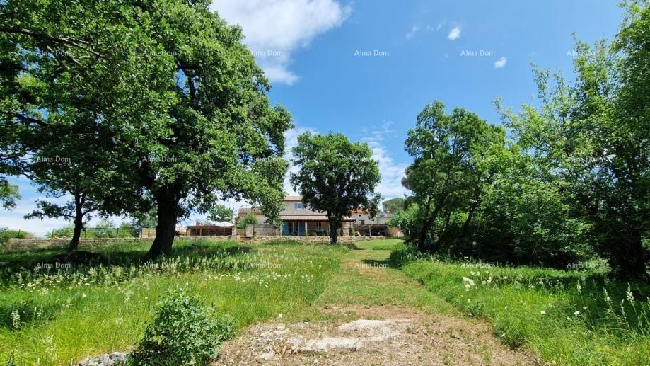 Sveti Lovreč, splendida villa in pietra con ampio giardino 11