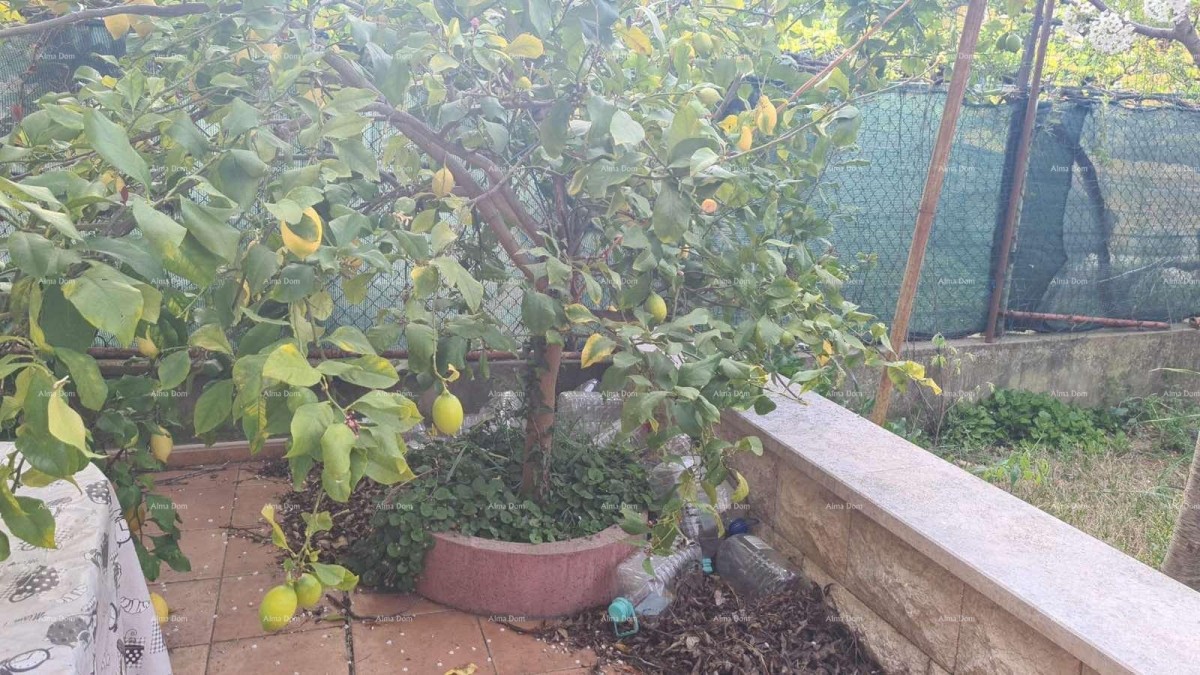 Стан на первом этаже с садом, Пула (67,52 м²) 9