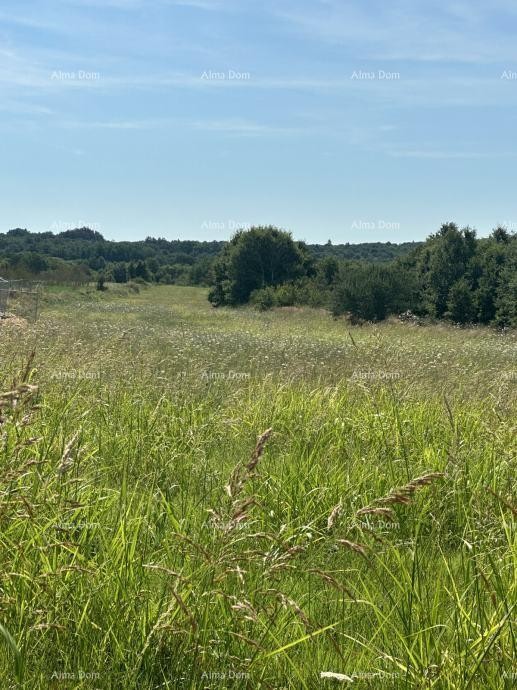 Prodaje se građevinsko zemljište, 5832m2, Barban 6