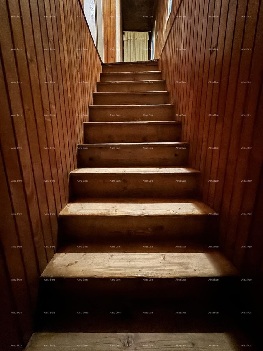 A house with a yard near the center, Buje! 8