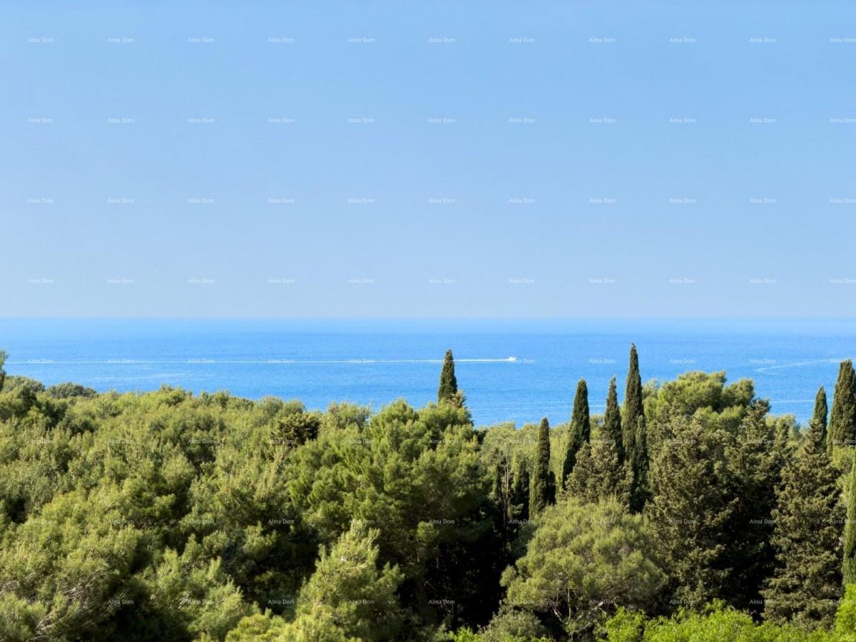Vendita - appartamento con vista mare - a due minuti dalla passeggiata Lungomare, Pola! 10
