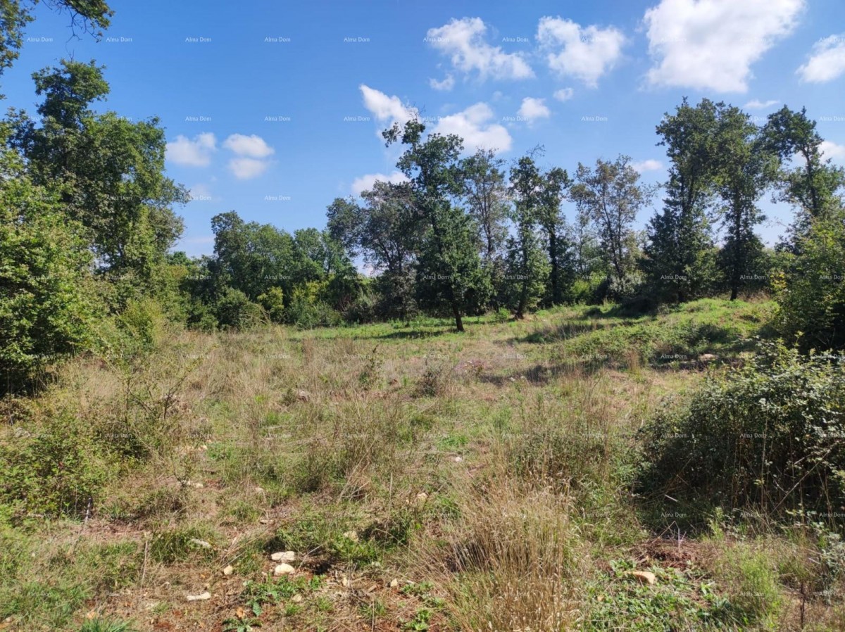 Vendita - TERRENO AGRICOLO, Pula, Valtura! 4