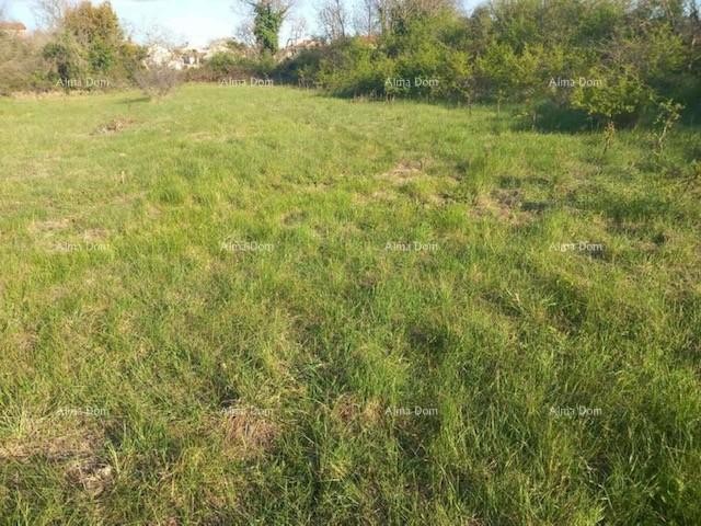 Эемля Svetvinčenat 1