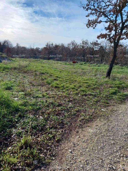 Prodaje se građevinsko zemljište 4375 m2, Kanfanar 6