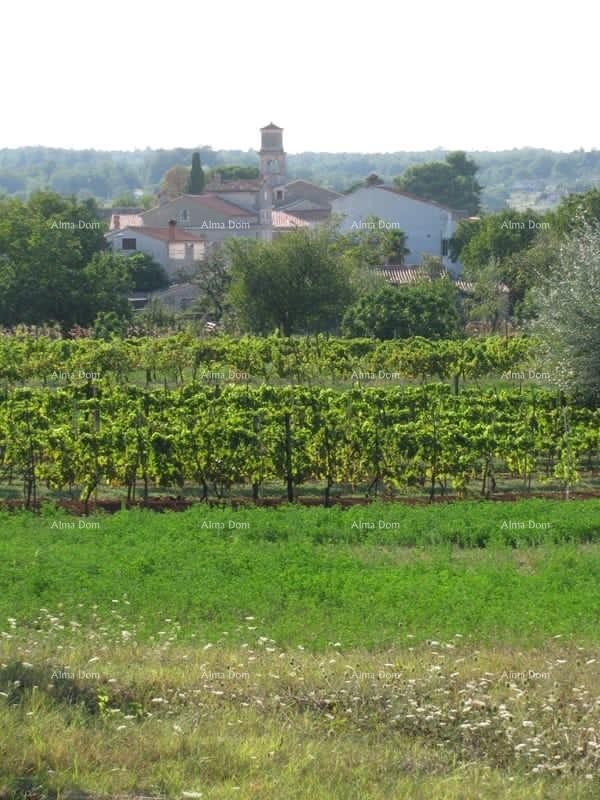 BARBAN - Prodaje se građevinsko zemljište,1329 m2 / 300 m od centra 7