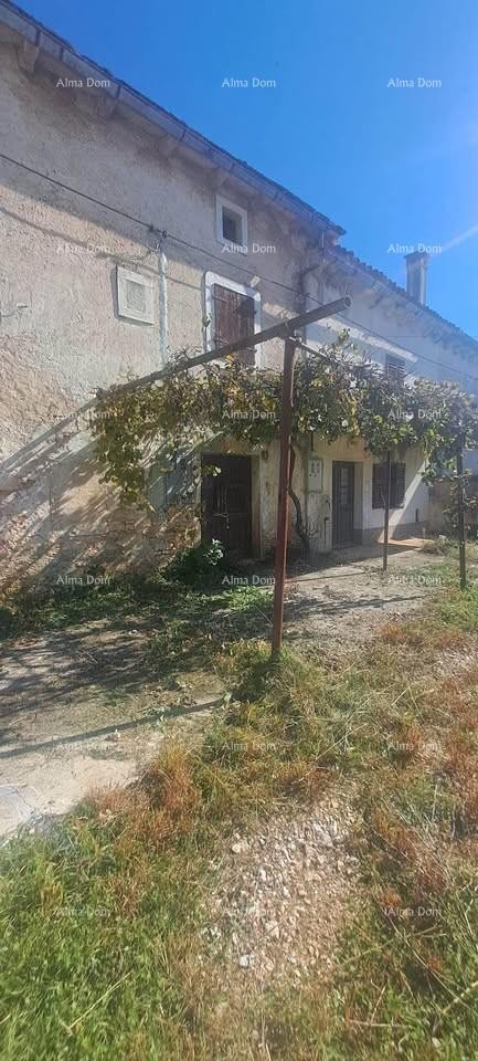 Sale of two stone houses for renovation - vicinity of Žminj! 3