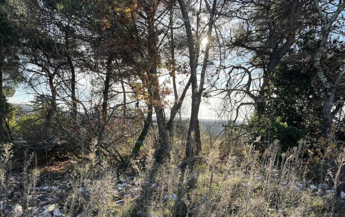 Jurcanija, Buje. Gradbene parcele s panoramskim pogledom 3