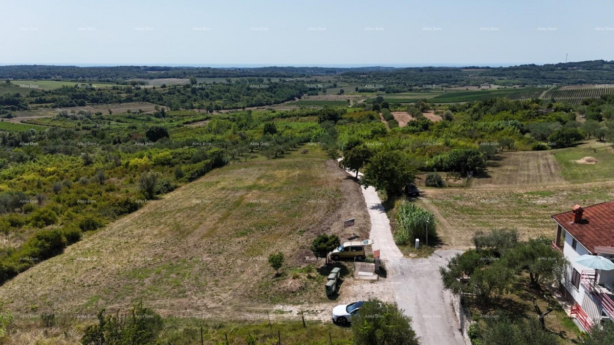 Prodaja građevinskih parcela sa pogledom na more, za izgradnju stambenih objekata, Buje! 9
