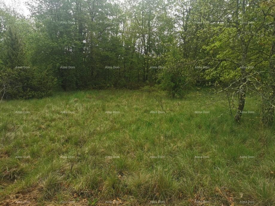 Prodaje se građevinsko zemljište, 1817m2, sa projektom kuće i građevinskom dozvolom, Sveta Nedelja 2