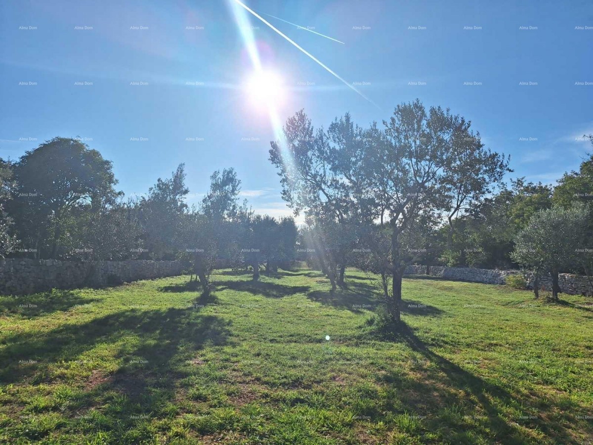 POLJOPRIVREDNO zemljište u blizini mora, Peroj-prodaja! 6