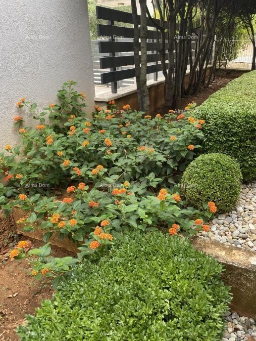 Pula – Casa con due unità abitative, a 50 m dal mare 7