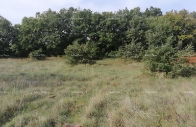 Prodamo kmetijsko zemljišče Bibići