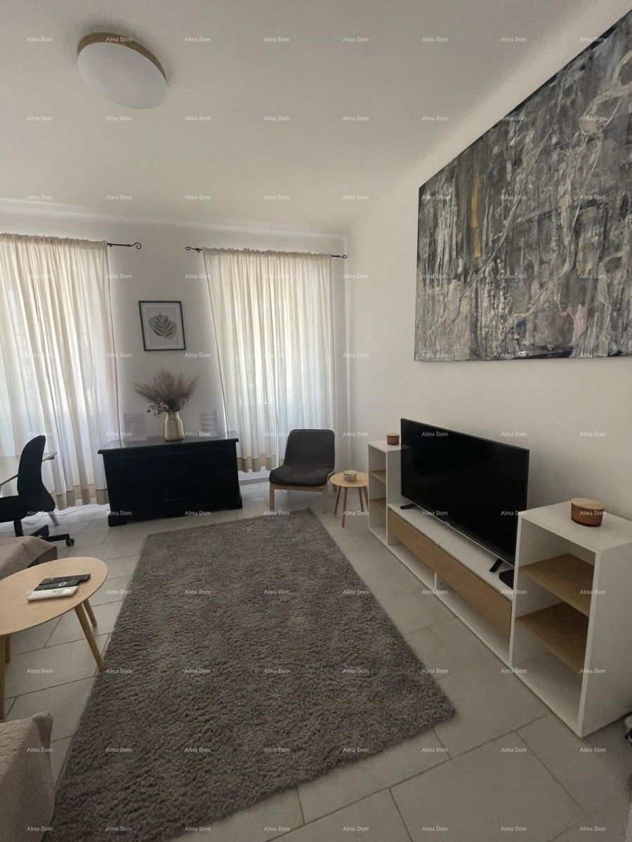 Appartamento arredato di 45 m2 al piano terra nel centro di Pola 6