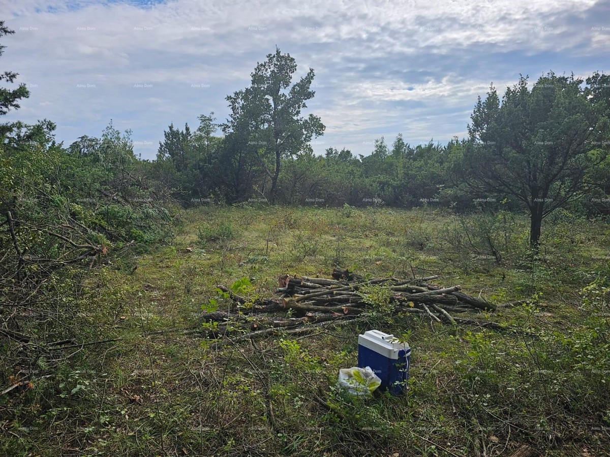 Эемля Svetvinčenat 2