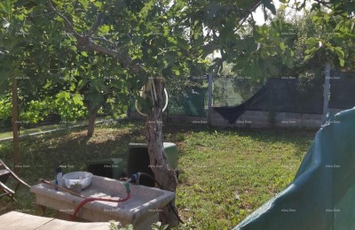 Prodaja- kuća sa konobom, velikom terasom, dva trosobna stana, dvorištem. Odlična prilika za investiranje!