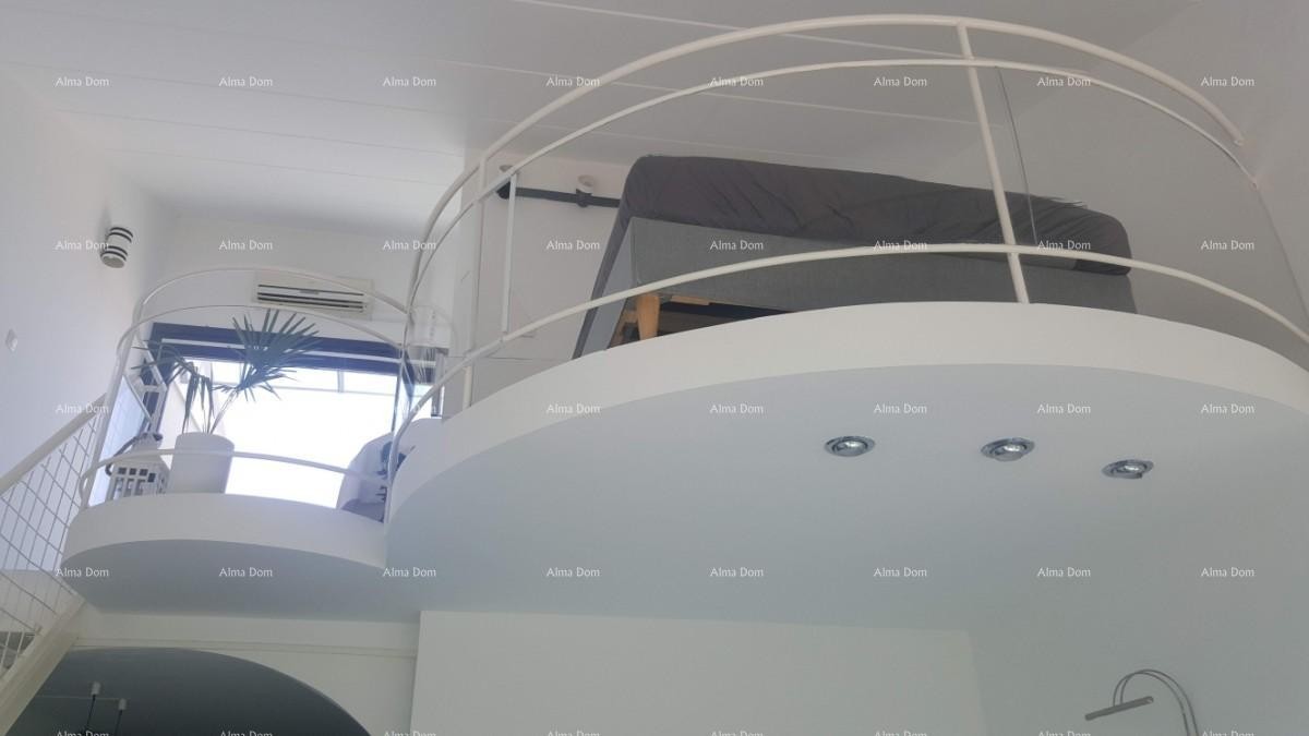 Apartment Novigrad 11