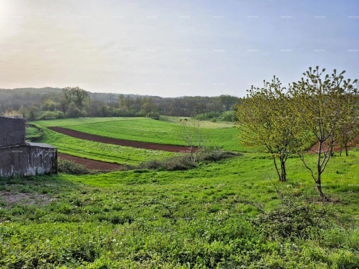 Construction Land 1,730 m² – Barban 3