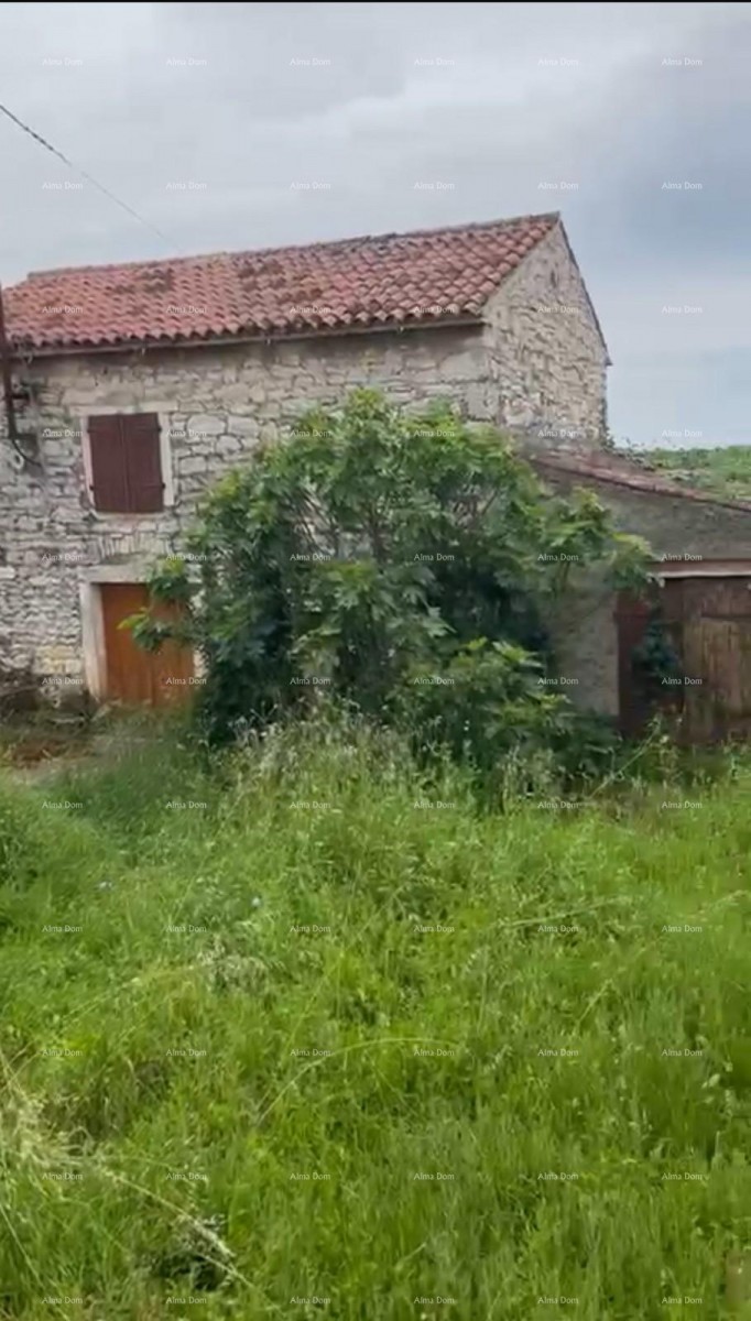 Умаг, отдельно стоящий каменный дом в 1200 м от моря 1
