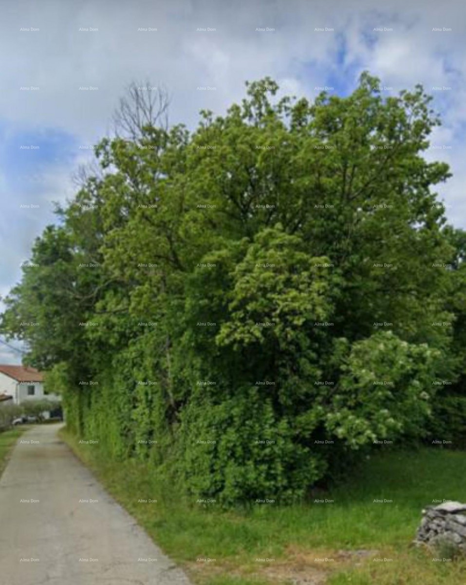 Продажа земельного участка под застройку 1050м2, Бузет! 3