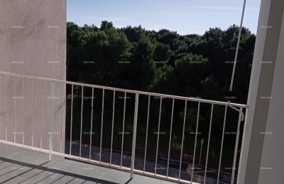 Продажа - квартира с видом на море - две минуты до набережной Лунгомаре, Пула!