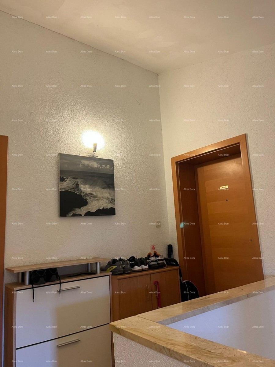 Красивый, функциональный апартамент в тихой части Медулина 15