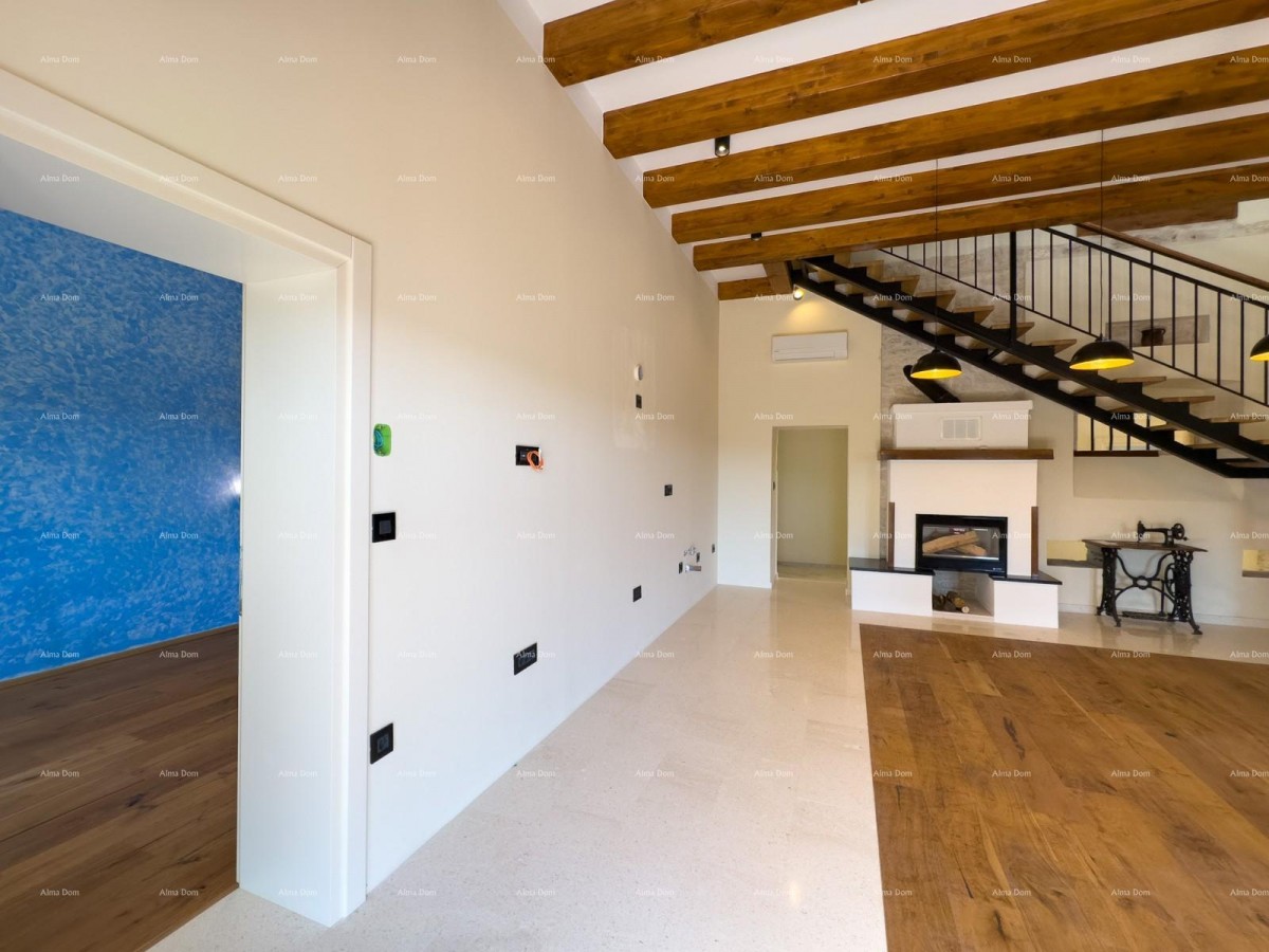 Редкость на рынке!   Istra  Barban 4