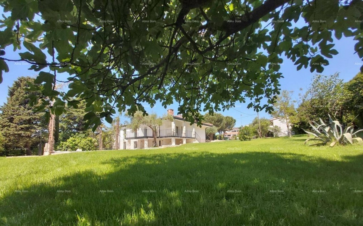 УМАГ – Дом с бассейном и тремя отдельными апартаментами 16