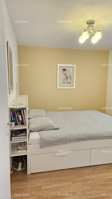 Stanovanje Novigrad 6