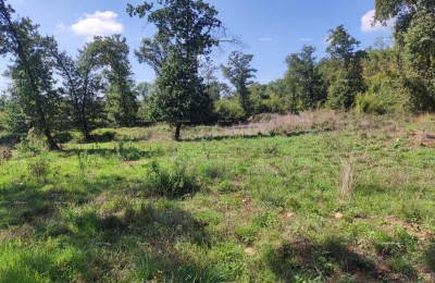 Prodaja - POLJOPRIVREDNO zemljišče, Pula, Valtura!
