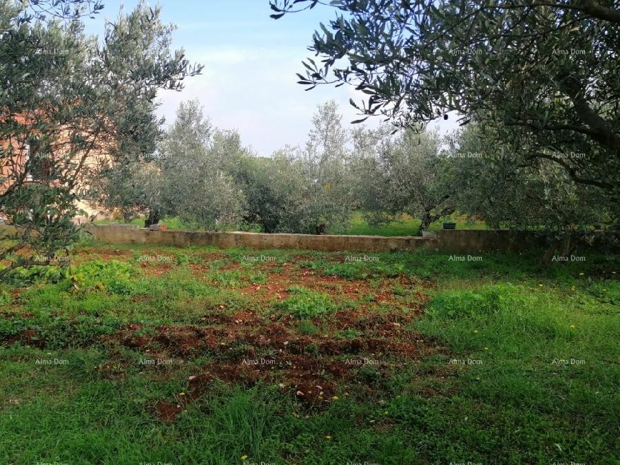 Građevinski teren sa 3 manja legalizirana objekta. Vareški. 17